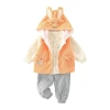 Baby thin cotton vest three-piece set, new autumn and winter set for infants and toddlers, newborn hooded clothes Specification image